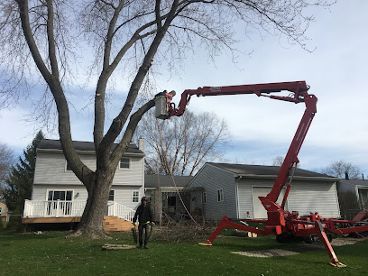 McKay Tree Specialists